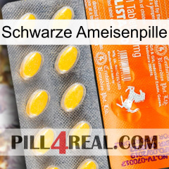 Black Ant Pill new05